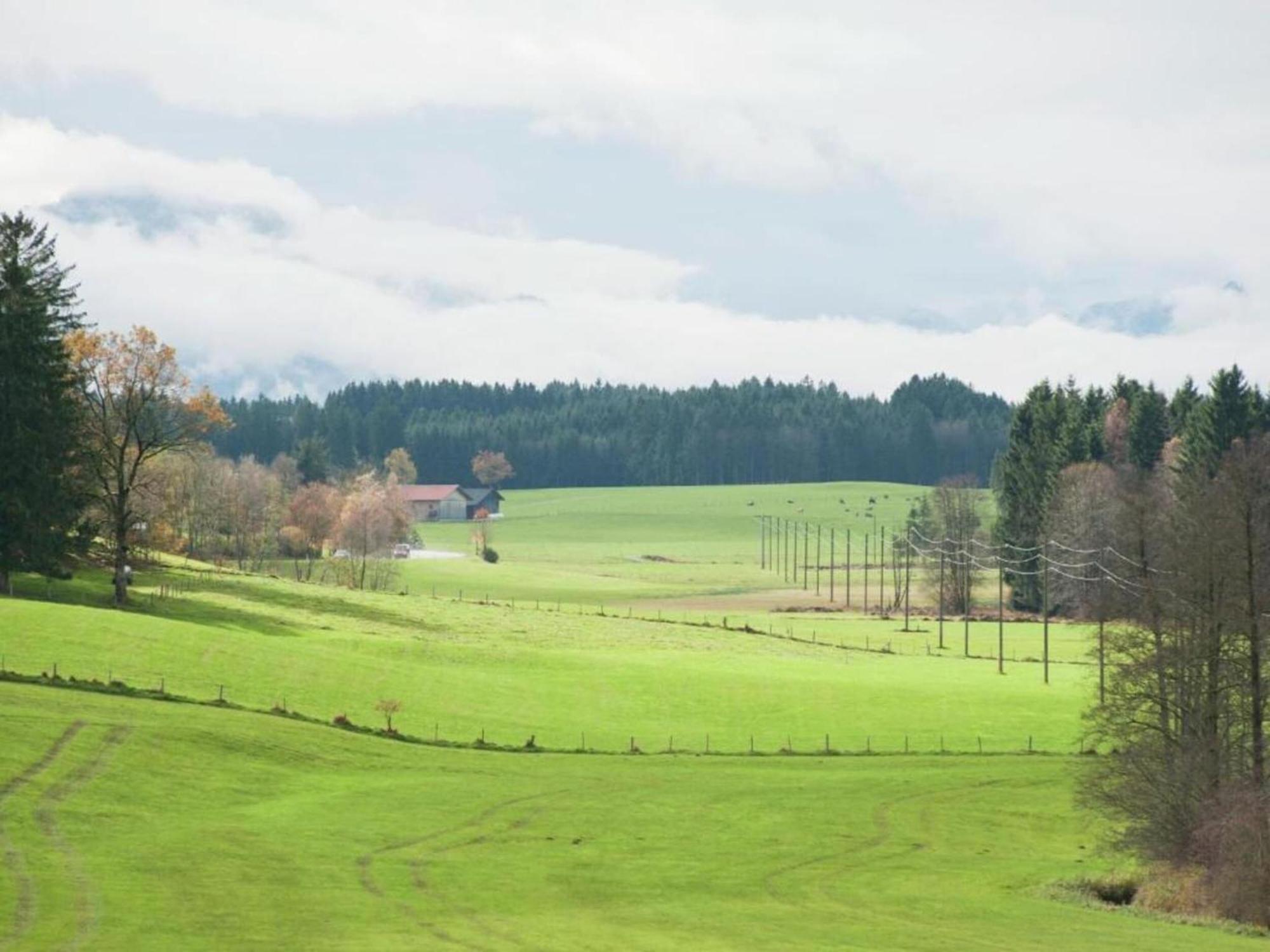 Apartment In Lechbruck Bavaria With Garden Экстерьер фото